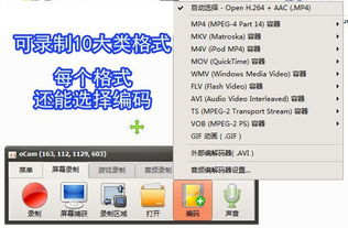 录屏小将OCam 全能录屏截图录音，专业摄影服务一应俱全